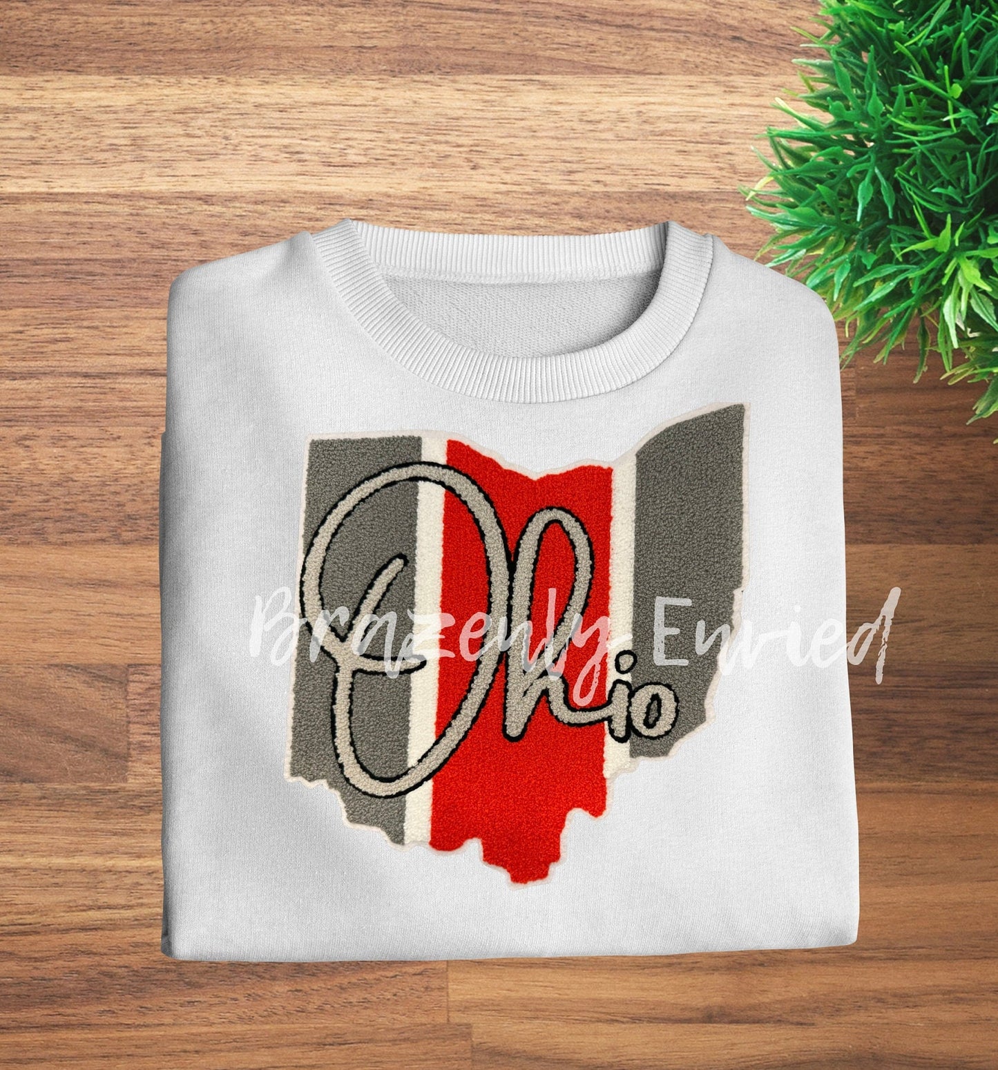 State of Ohio Script